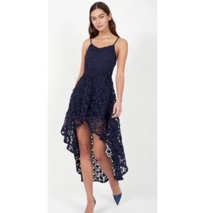 Joie Larise Lace Dress.